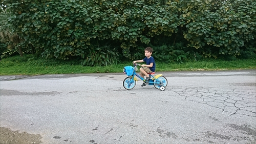 6���E�N���[�v�ނ���ނ���j�I